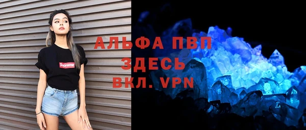 индика Зеленодольск