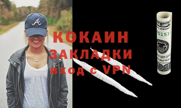 индика Зеленодольск