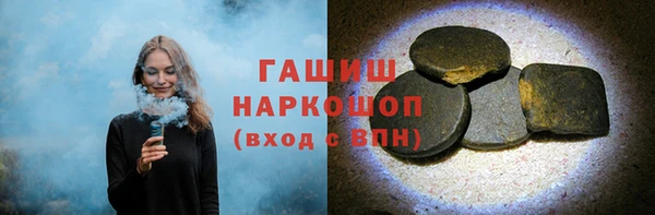 индика Зеленодольск