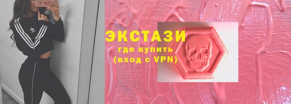 индика Зеленодольск