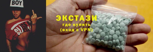 индика Зеленодольск