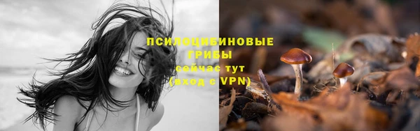 mdpv Зеленокумск
