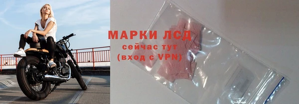 индика Зеленодольск