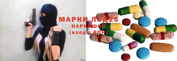 индика Зеленодольск