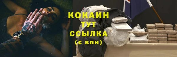 индика Зеленодольск