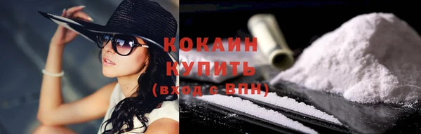индика Зеленодольск