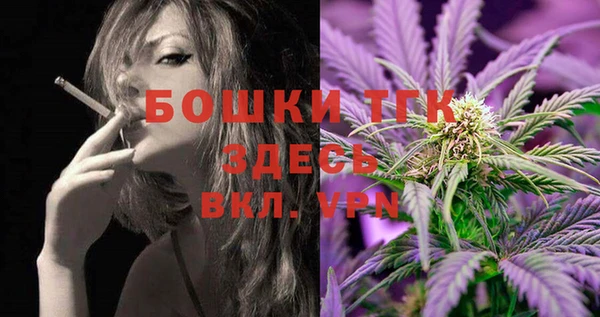 индика Зеленодольск
