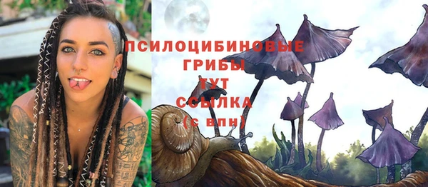 индика Зеленодольск