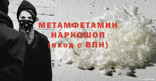 индика Зеленодольск